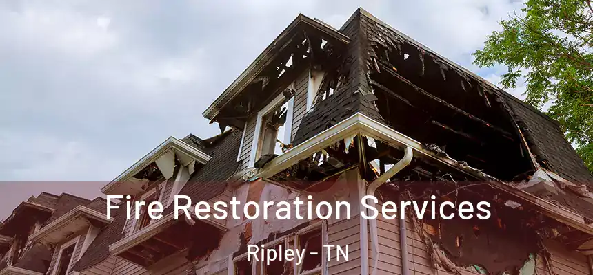 Fire Restoration Services Ripley - TN