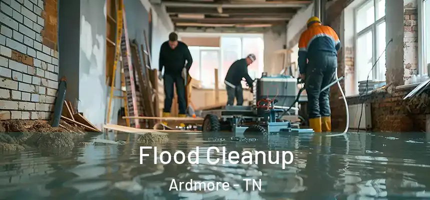  Flood Cleanup Ardmore - TN
