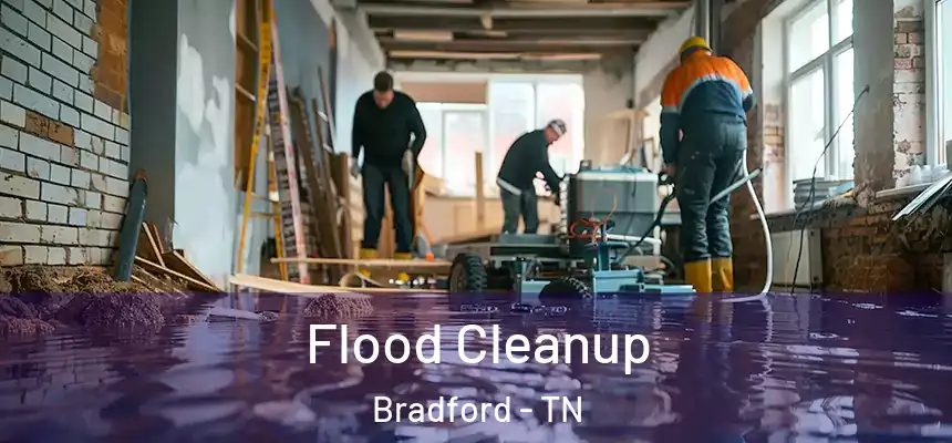 Flood Cleanup Bradford - TN