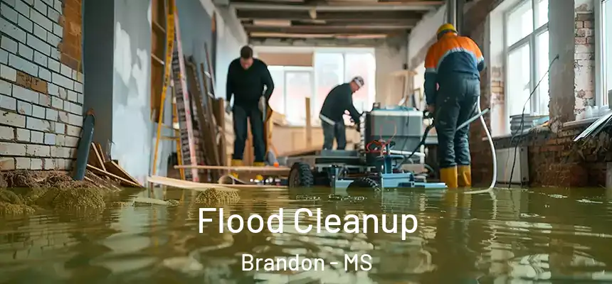  Flood Cleanup Brandon - MS