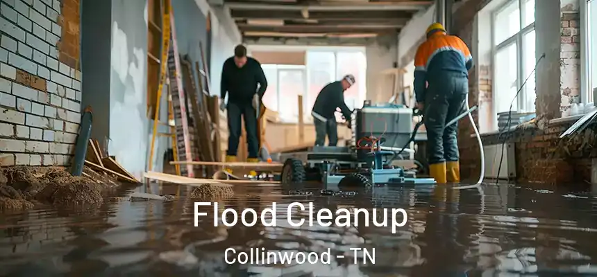 Flood Cleanup Collinwood - TN