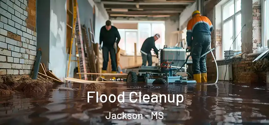  Flood Cleanup Jackson - MS