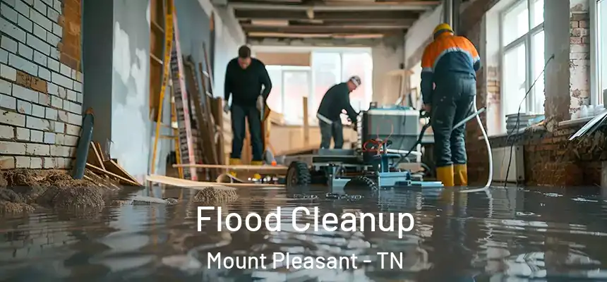 Flood Cleanup Mount Pleasant - TN