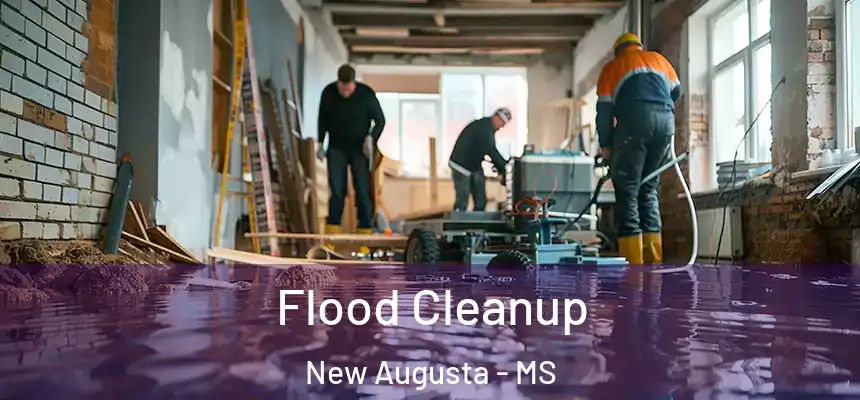 Flood Cleanup New Augusta - MS