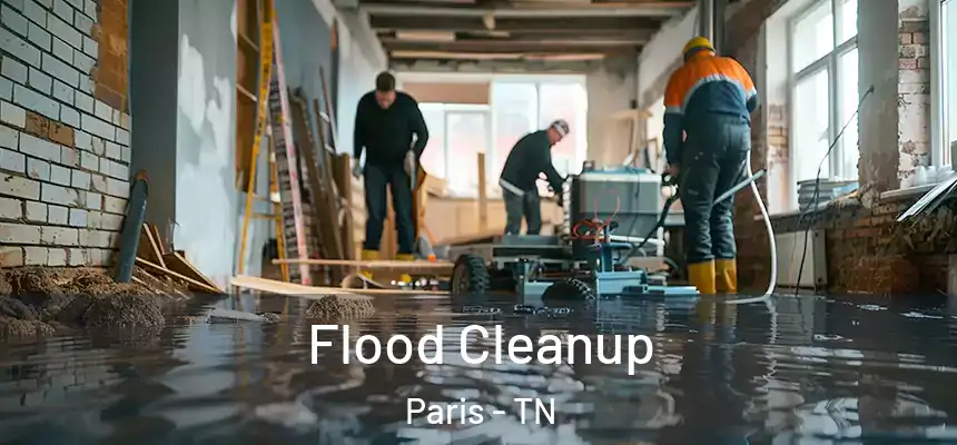  Flood Cleanup Paris - TN