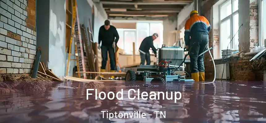 Flood Cleanup Tiptonville - TN