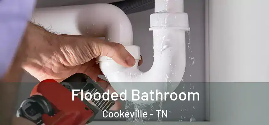  Flooded Bathroom Cookeville - TN