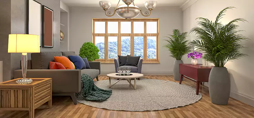 Local Water Mitigation in Cookeville