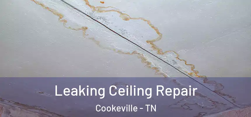  Leaking Ceiling Repair Cookeville - TN