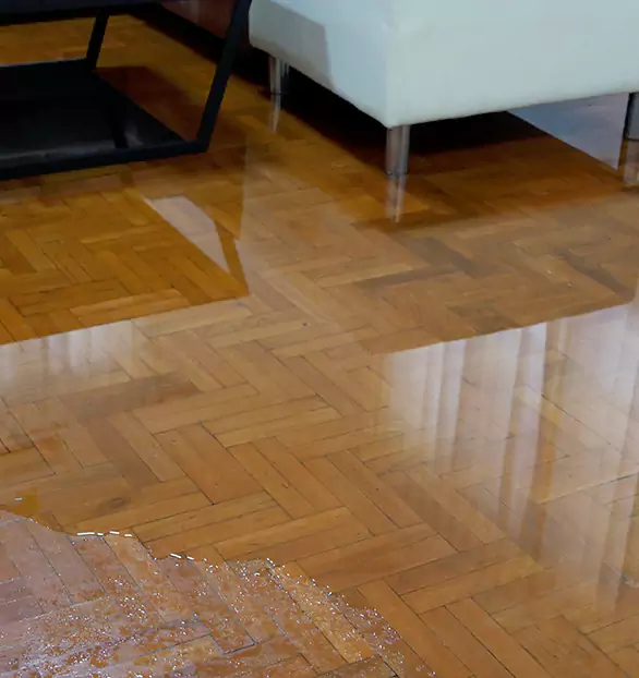 Trusted Emergency Water Restoration Company in Cookeville, TN