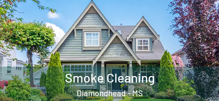  Smoke Cleaning Diamondhead - MS