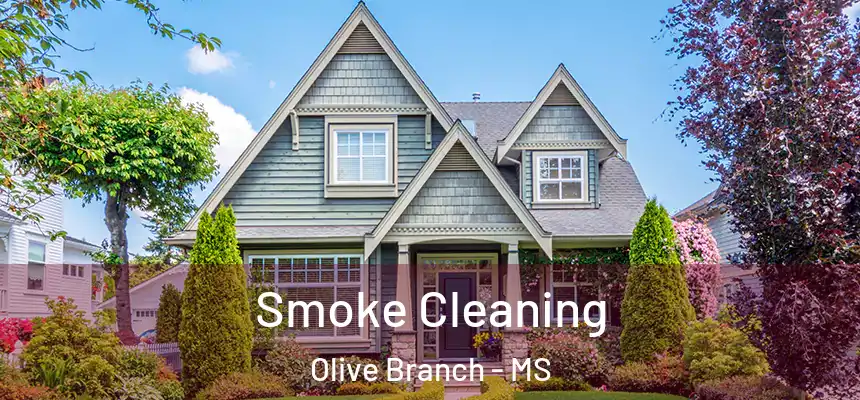 Smoke Cleaning Olive Branch - MS