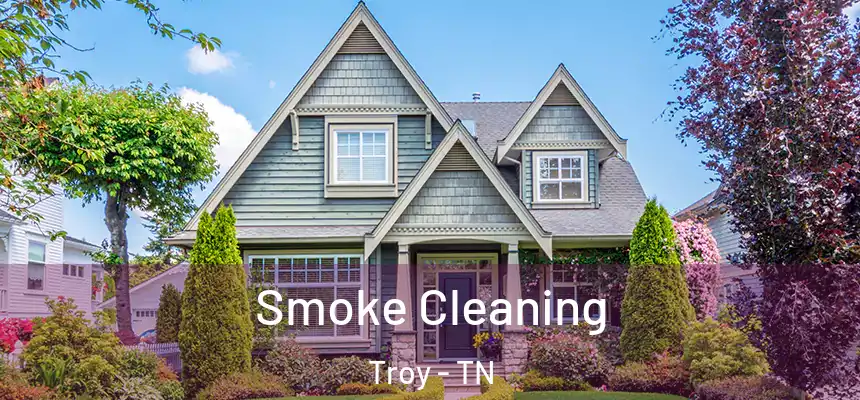 Smoke Cleaning Troy - TN