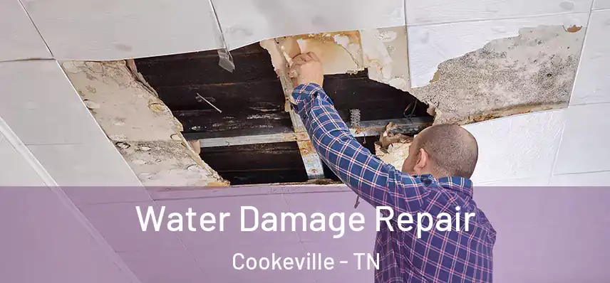  Water Damage Repair Cookeville - TN