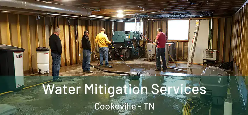  Water Mitigation Services Cookeville - TN