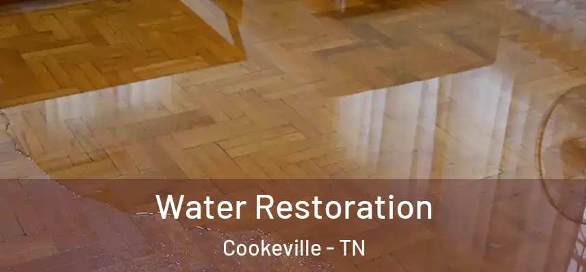  Water Restoration Cookeville - TN
